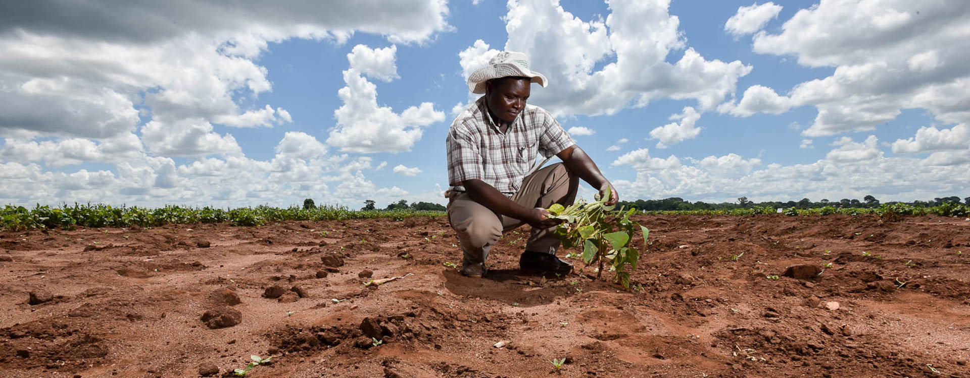 Malawi’s agricultural sector needs urgent climate adaptation