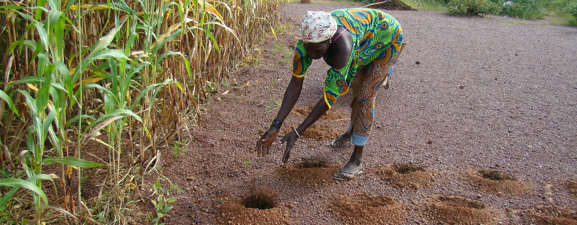 Africa needs more than COP29 to address climate change