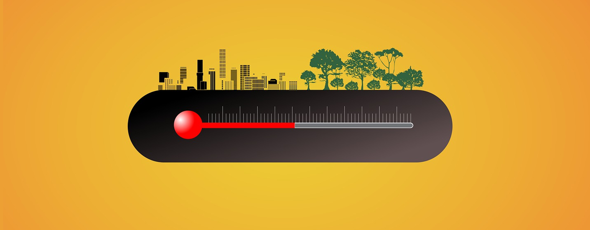 Africa steps into the climate void: a promising sign for COP30?