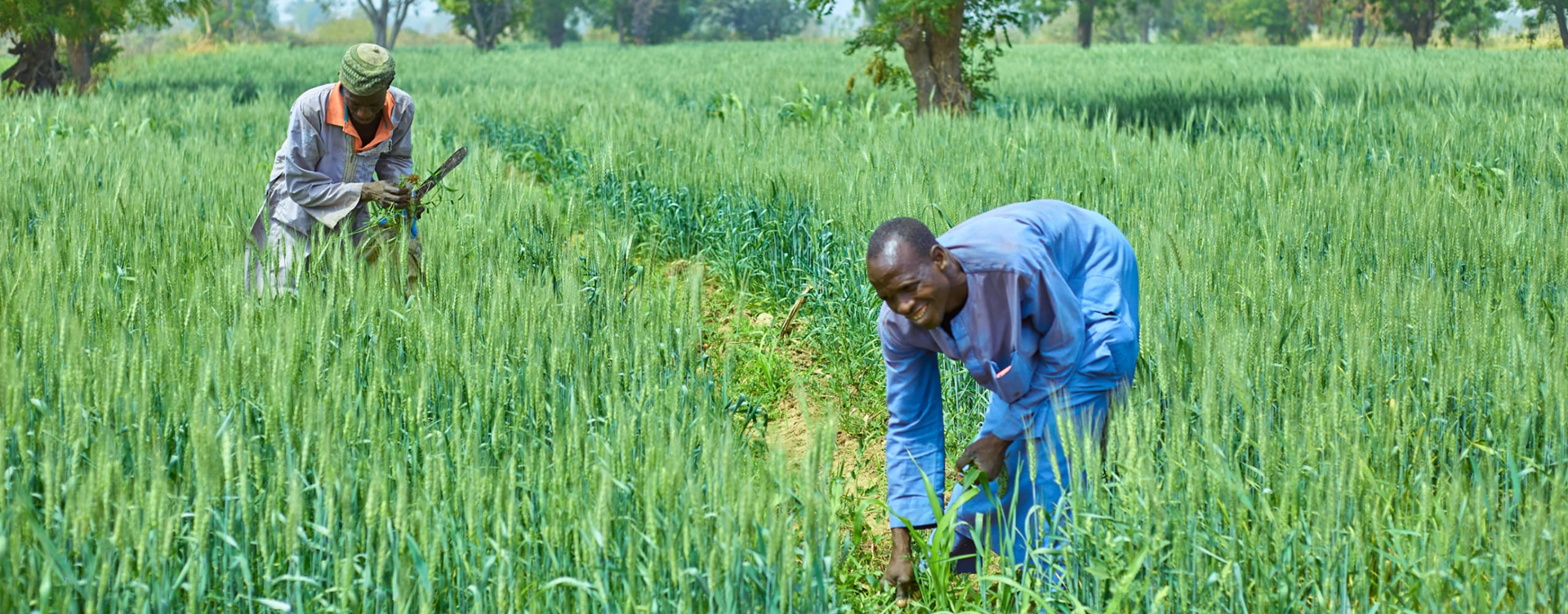 Hormuz exposes Africa’s fertiliser structural risk