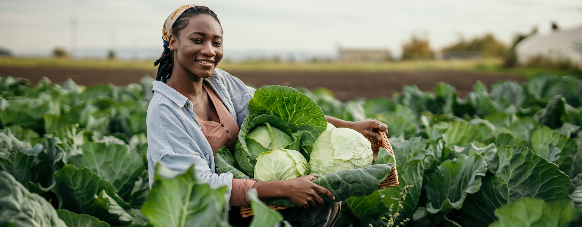Africa must unlock the capital beneath its farmers’ feet
