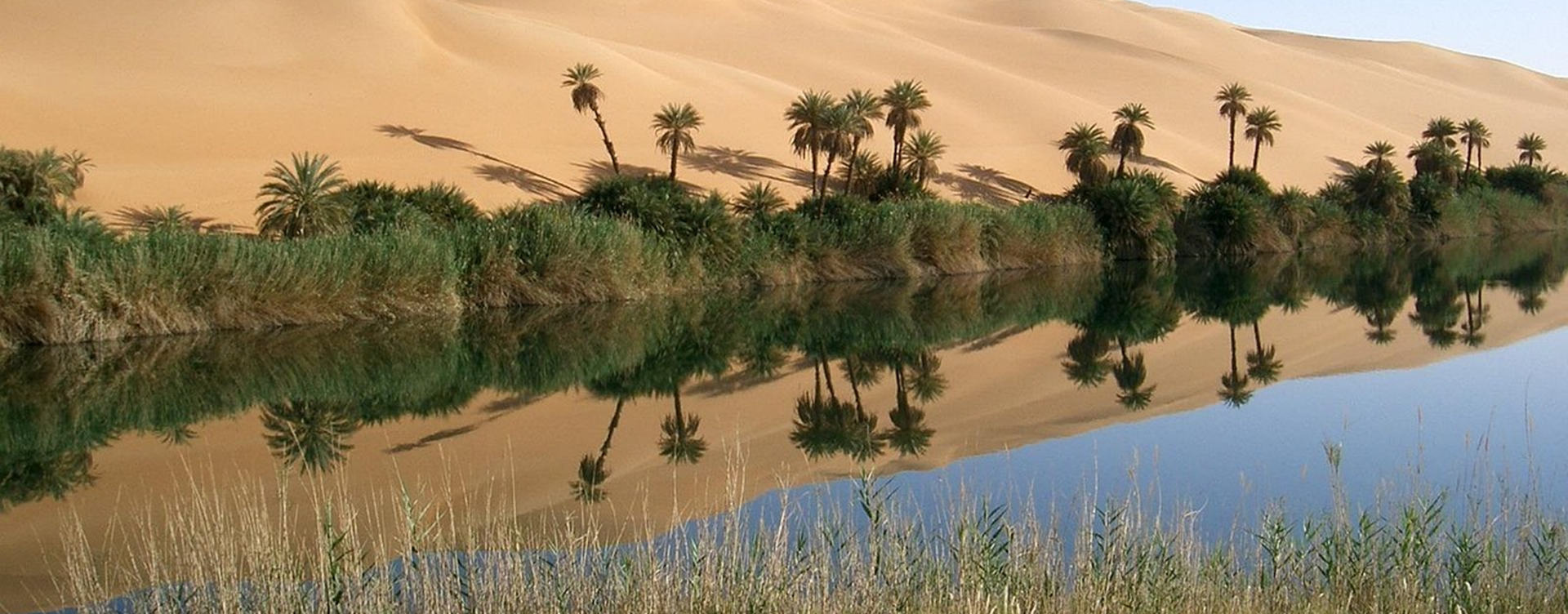 Beyond oil wealth: Libya’s path to institutional renewal