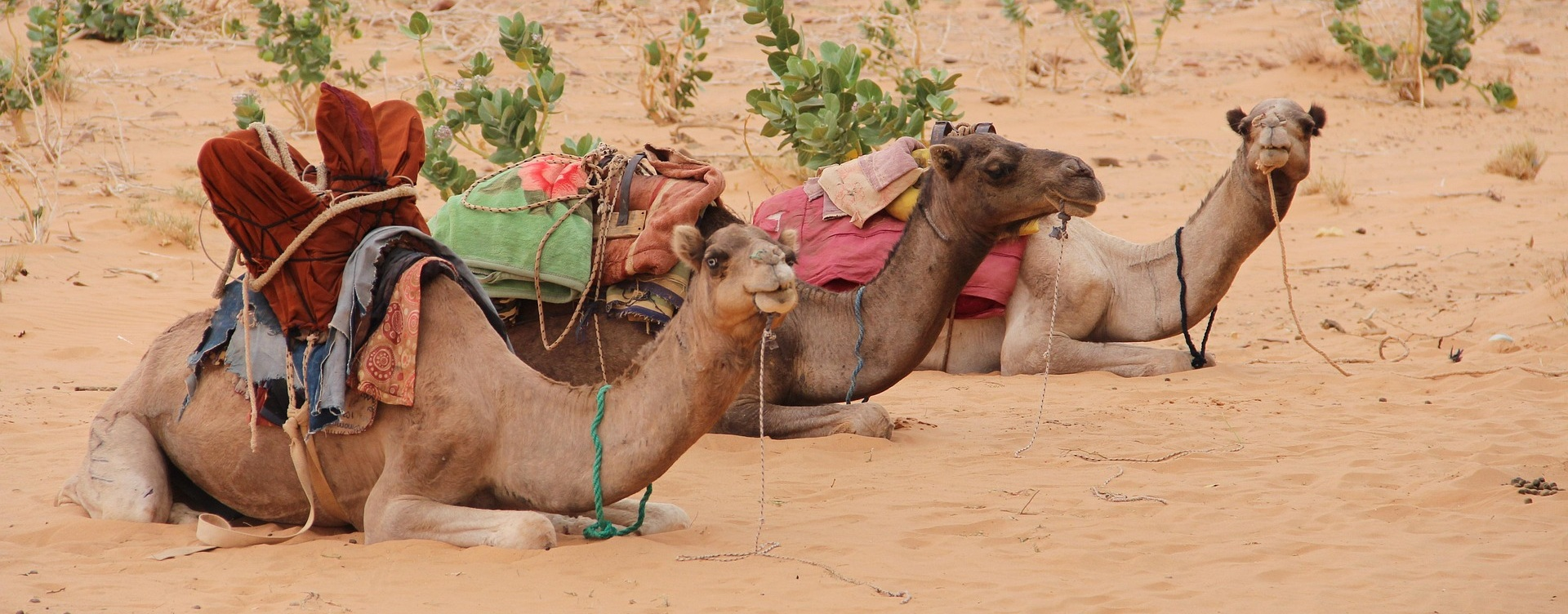 Can Mauritania’s partnerships drive inclusive growth?
