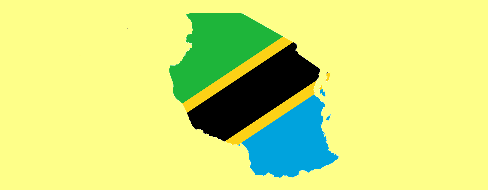 The cost of coercive stability for Tanzania
