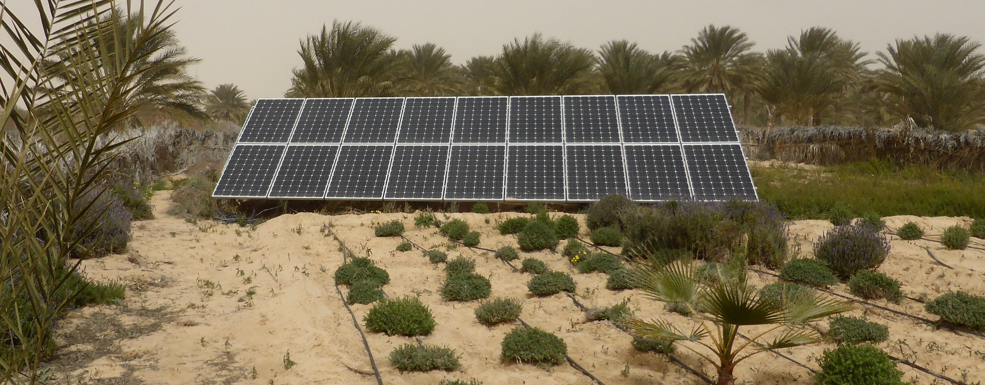 Will Tunisia’s 2050 energy plan deliver primary energy self-sufficiency?
