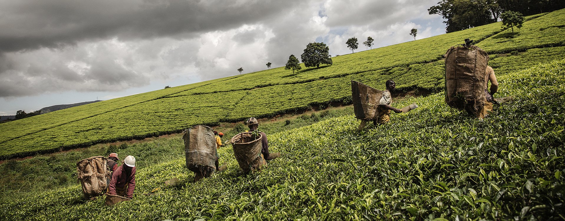 Malawi must put climate adaptation first