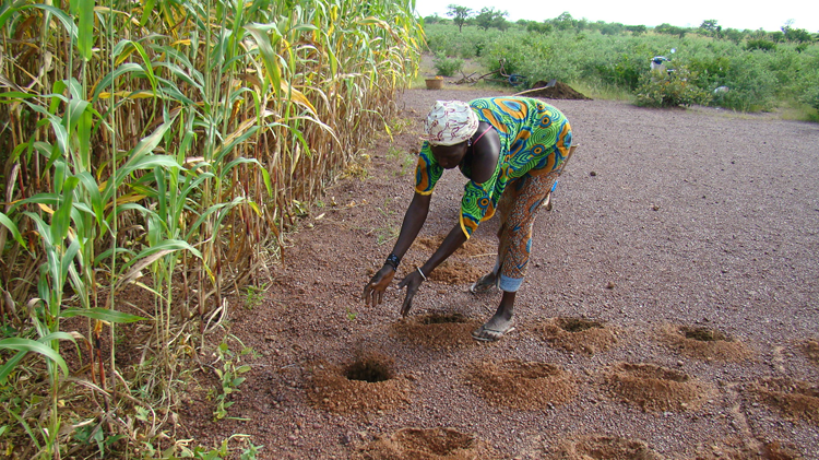 Africa needs more than COP29 to address climate change