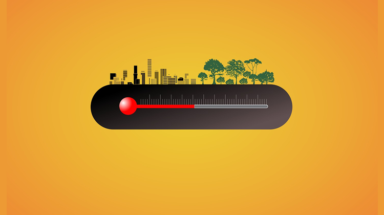 Africa steps into the climate void: a promising sign for COP30?