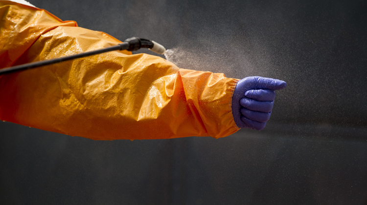 The cost of delayed Ebola containment in DR Congo and Uganda