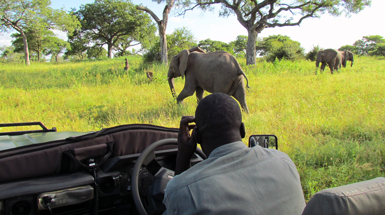 The elephant in the room: Tourism futures in Southern Africa