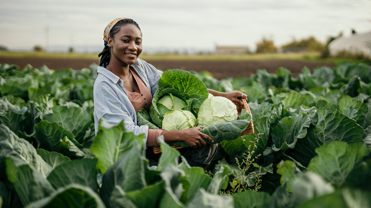 Africa must unlock the capital beneath its farmers’ feet
