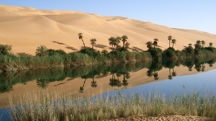 Beyond oil wealth: Libya’s path to institutional renewal