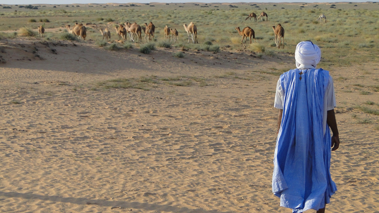 The case for pragmatism in Mauritania’s sustainable development