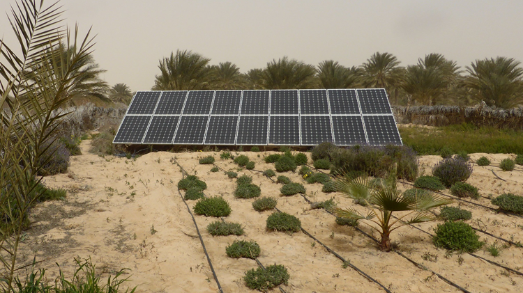 Will Tunisia’s 2050 energy plan deliver primary energy self-sufficiency?