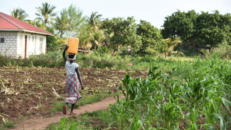 Unpaid care is Africa's hidden brake on growth