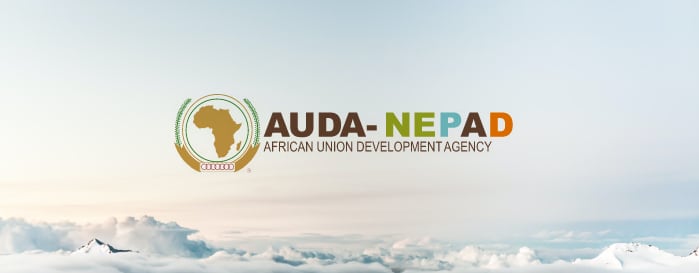 AUDA-NEPAD