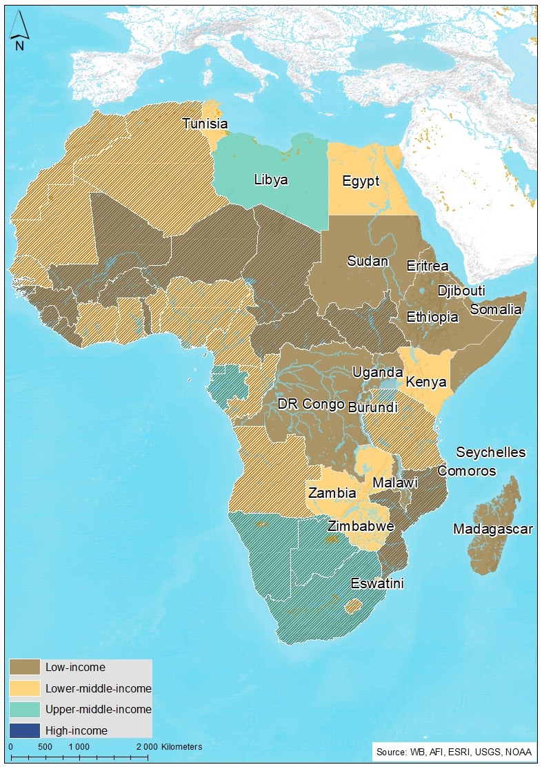 COMESA - ISS African Futures